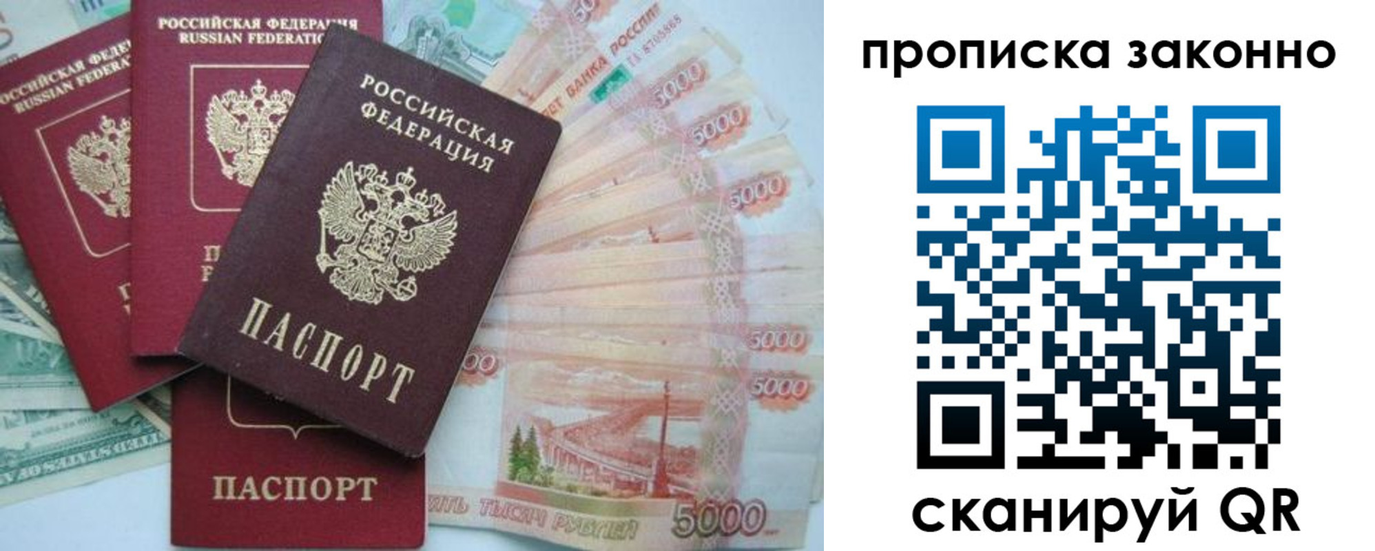 временная прописка в Кингисеппе